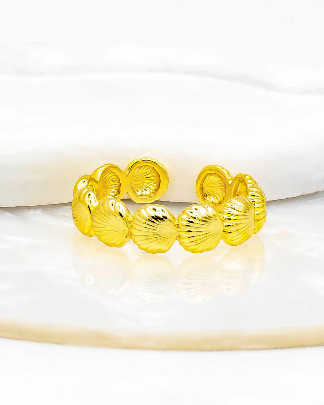 Anillo conchas de mar