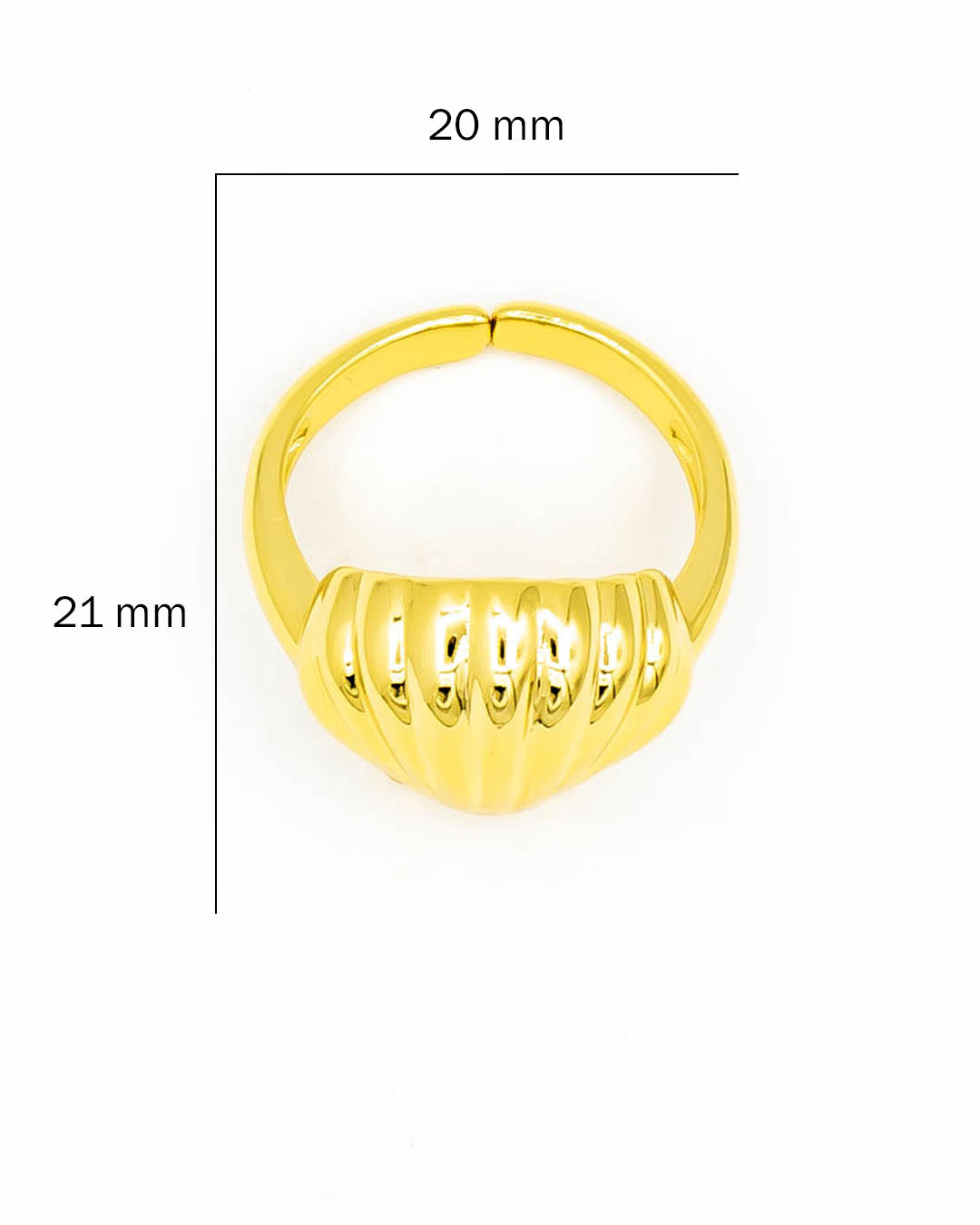 Anillo concha de mar