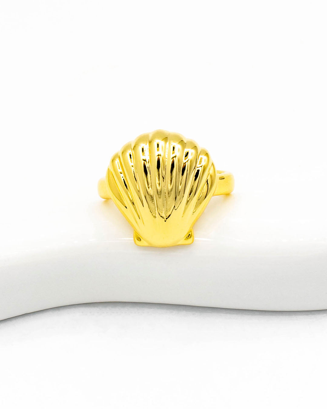 Anillo concha de mar