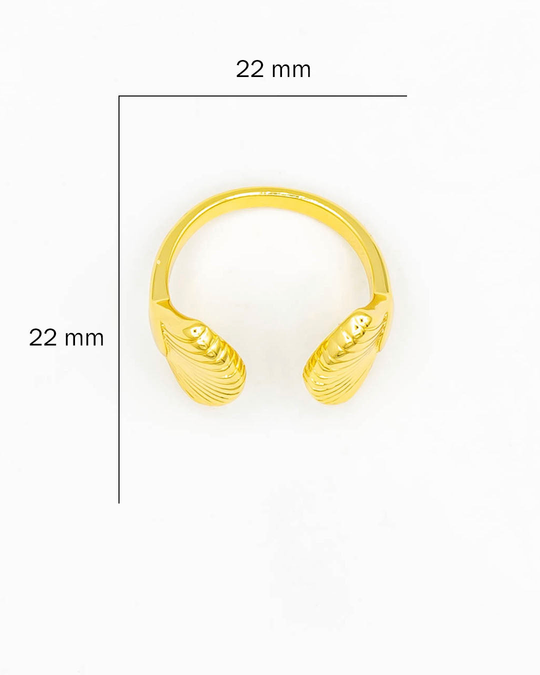 Anillo conchas de mar