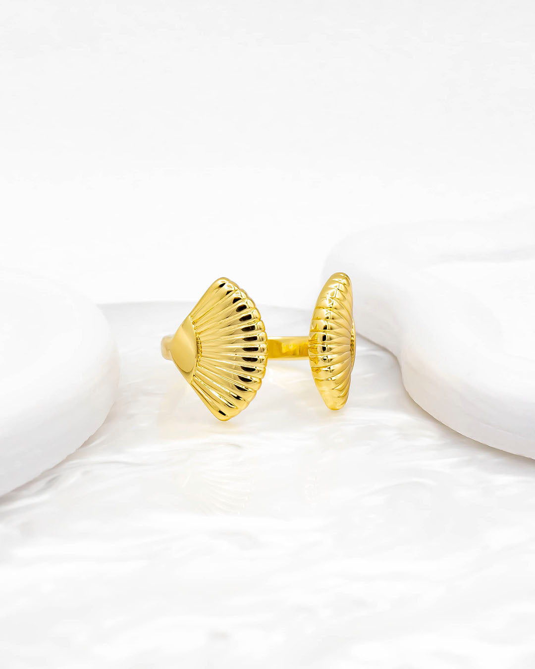 Anillo conchas de mar