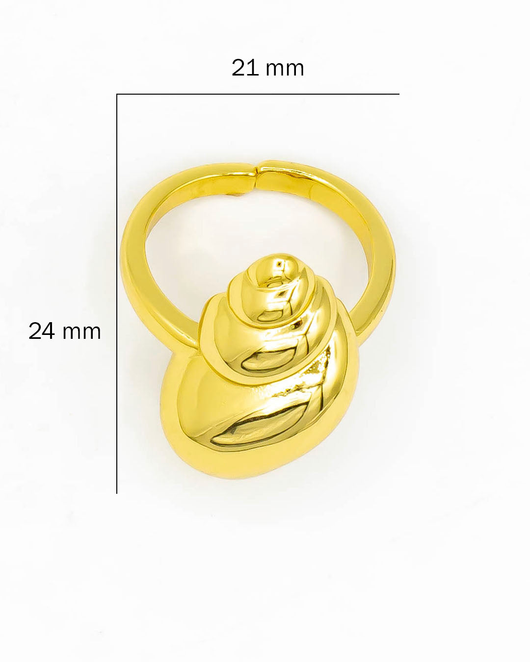 Anillo concha de mar