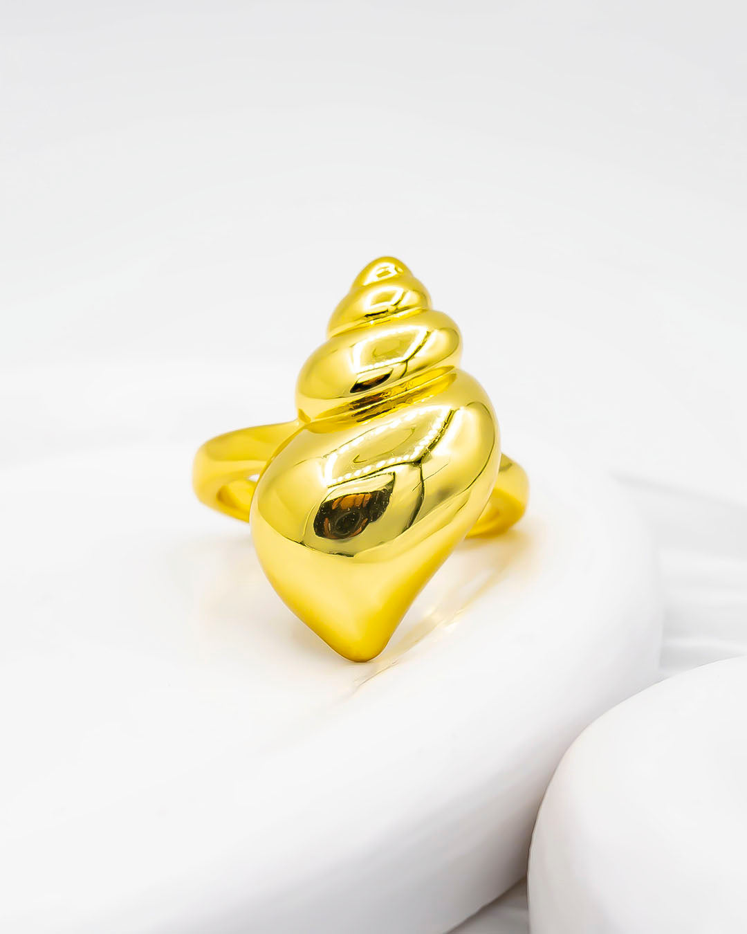 Anillo concha de mar