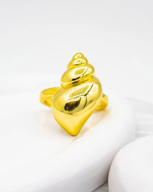 Anillo concha de mar