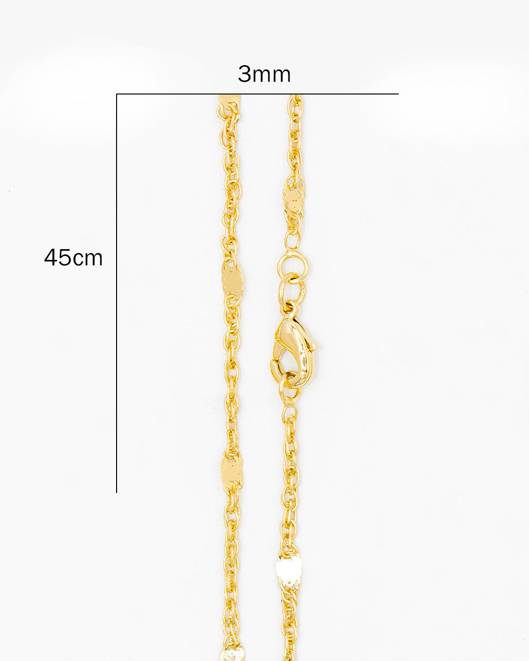 Cadena lazo con placa