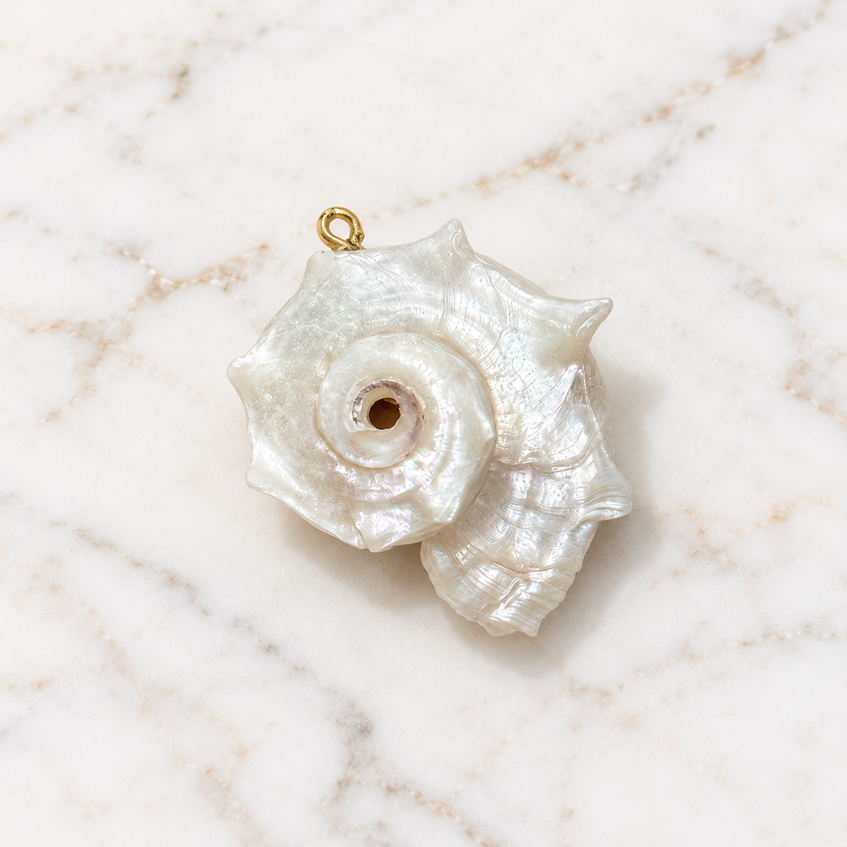 Dije caracola natural espiral