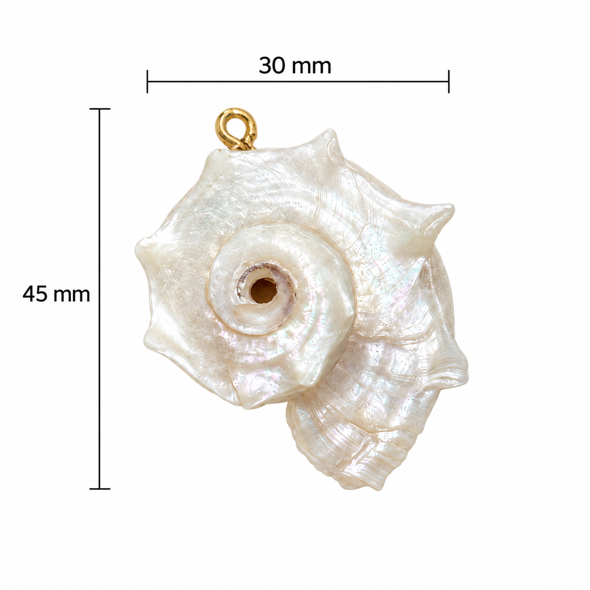 Dije caracola natural espiral