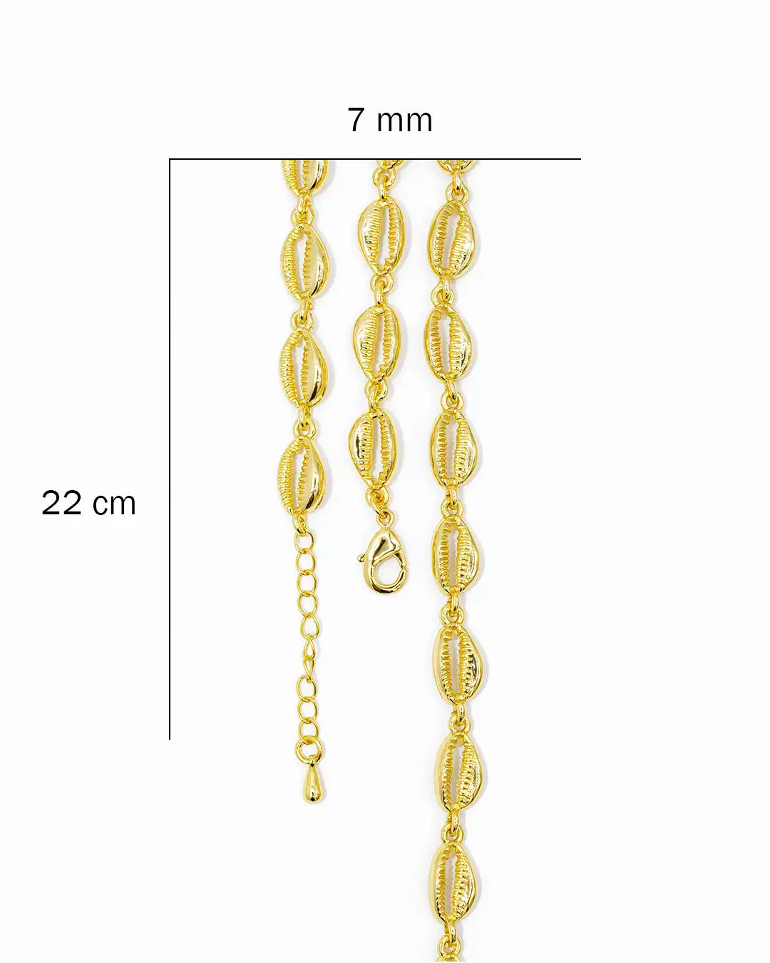 Pulsera concha seguida