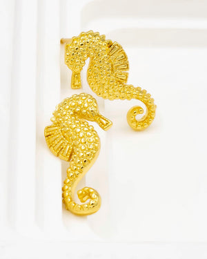 Topo caballito de mar