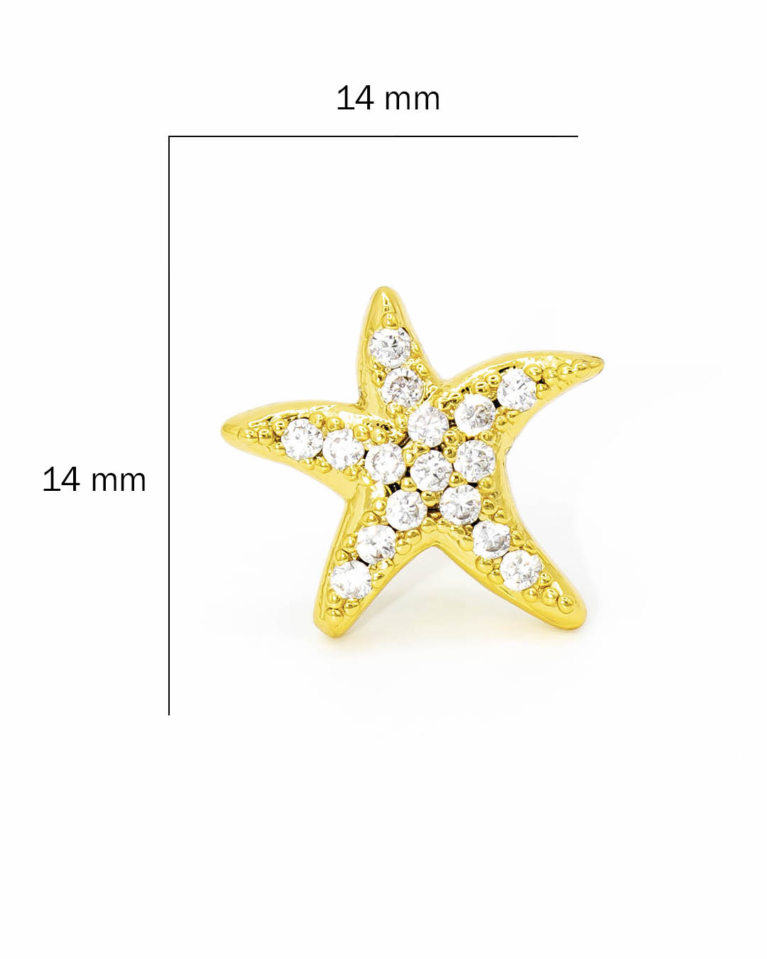 Topo estrella de mar