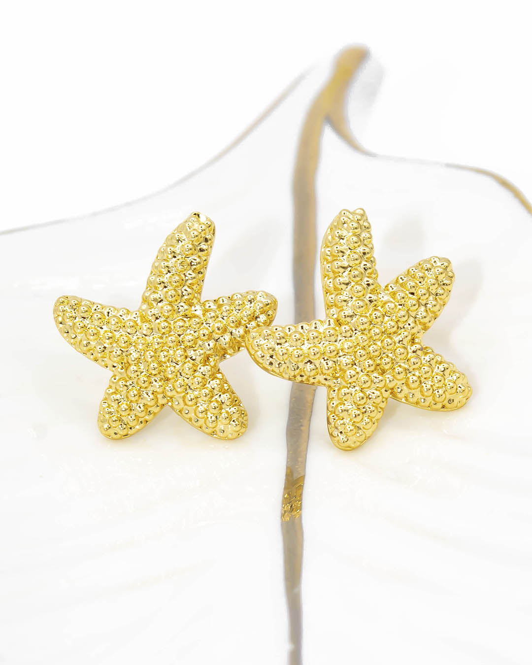 Topo estrella de mar