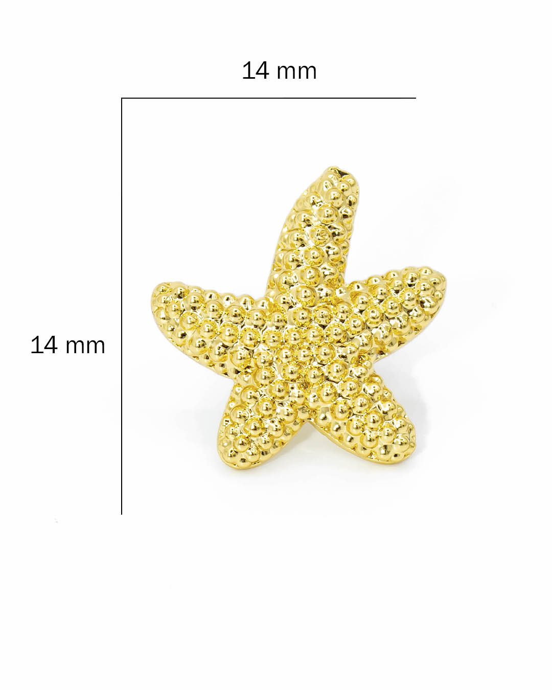 Topo estrella de mar